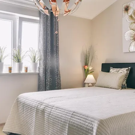 펜션 House Jadreski *